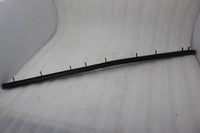 
              10199732 GM GUARD SEALING STRIP ASSY FR SIDE DOOR WINDOW NEW NOS OEM
            