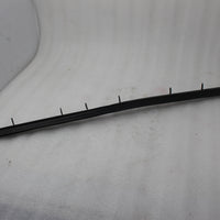 10199732 GM GUARD SEALING STRIP ASSY FR SIDE DOOR WINDOW NEW NOS OEM