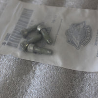 NEW OEM NOS HARLEY SCREW, 1/4-20X3/4 SHCS AA0406.2CXZB